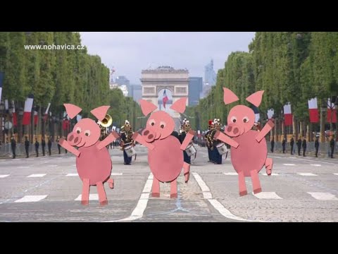 Tři čuníci / Trois cochons