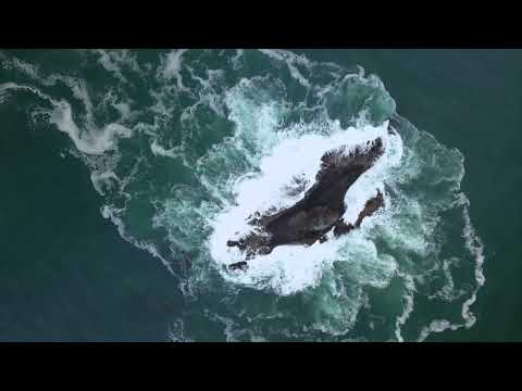 Lisbeth Scott - Breathing Ocean Waves - Relaxing Music to Calm #Anxiety + Alleviate Stress