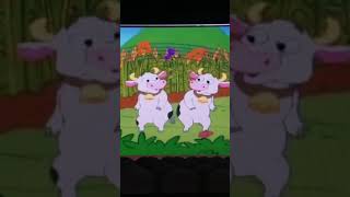 Cows shaking their groove thing 2