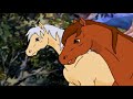 Vildhesten Thowra Sæson 1 Episode 2 Dansk Danish The Silver Brumby