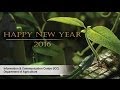 The Department Of Agriculture Government Of Sri Lanka Live Stream