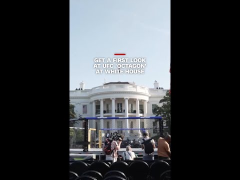 Get a first look at UFC 'octagon' at White House