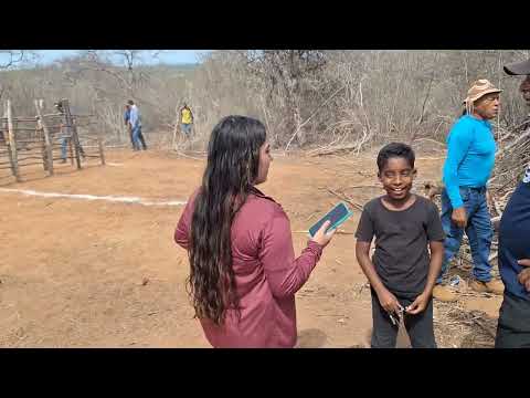 Pega se boi pe de porteira no sítio curral queimado município de Mirandiba pernabuco 