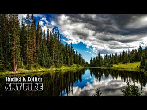 Rachel K Collier - Ant Fire
