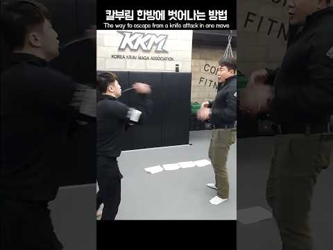 막 들어오는 칼부림 1초 컷 / Stopping a reckless knife attack in 1 second #KKM #크라브마가 #지도자교육 #모형칼