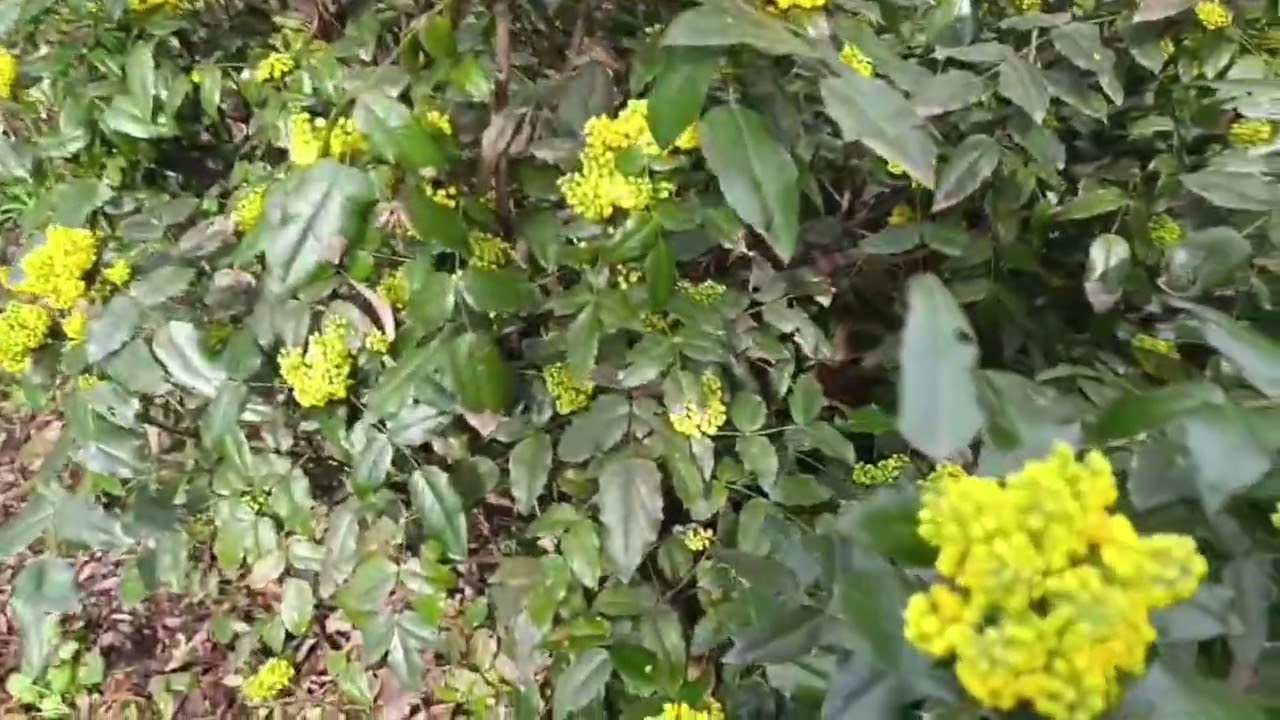 ОПЯТЬ ВЕРНУЛИ ОТКЛЮЧЕНИЕ СВЕТА ЗАПОРОЖЬЕ 9 АПРЕЛЯ 2026