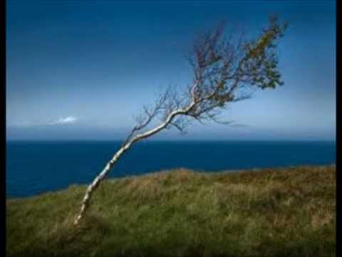 "Hier ist nicht mein Lichtrevier ..." von Stefan George, vom Wortmann gelesen