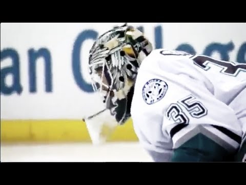 Mighty Ducks of Anaheim - How The West Was Won (2002-2003)