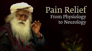 Pain Relief: From Physiology to Neurology | Sadhguru @ Harvard Medical School