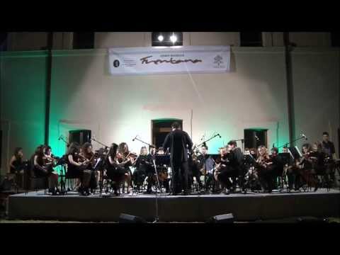 Orchestra I Giovani Accademici - Classic Ensemble Fenaroli