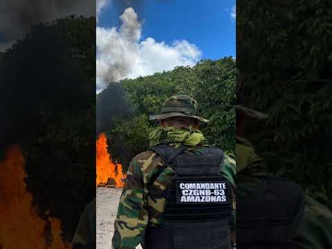 Operación Neblina 2026: FANB destruye campamentos delictivos en el estado Amazonas.