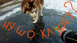 Зимняя рыбалка 2018 2019 калужская область