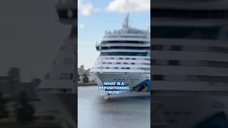 What is a repositioning cruise? Pros & cons #shorts