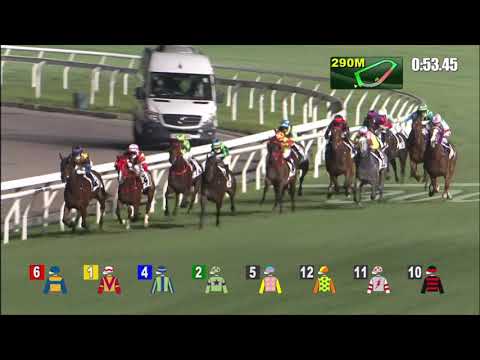 3/3/2021 (475) Ever Force - Z Purton