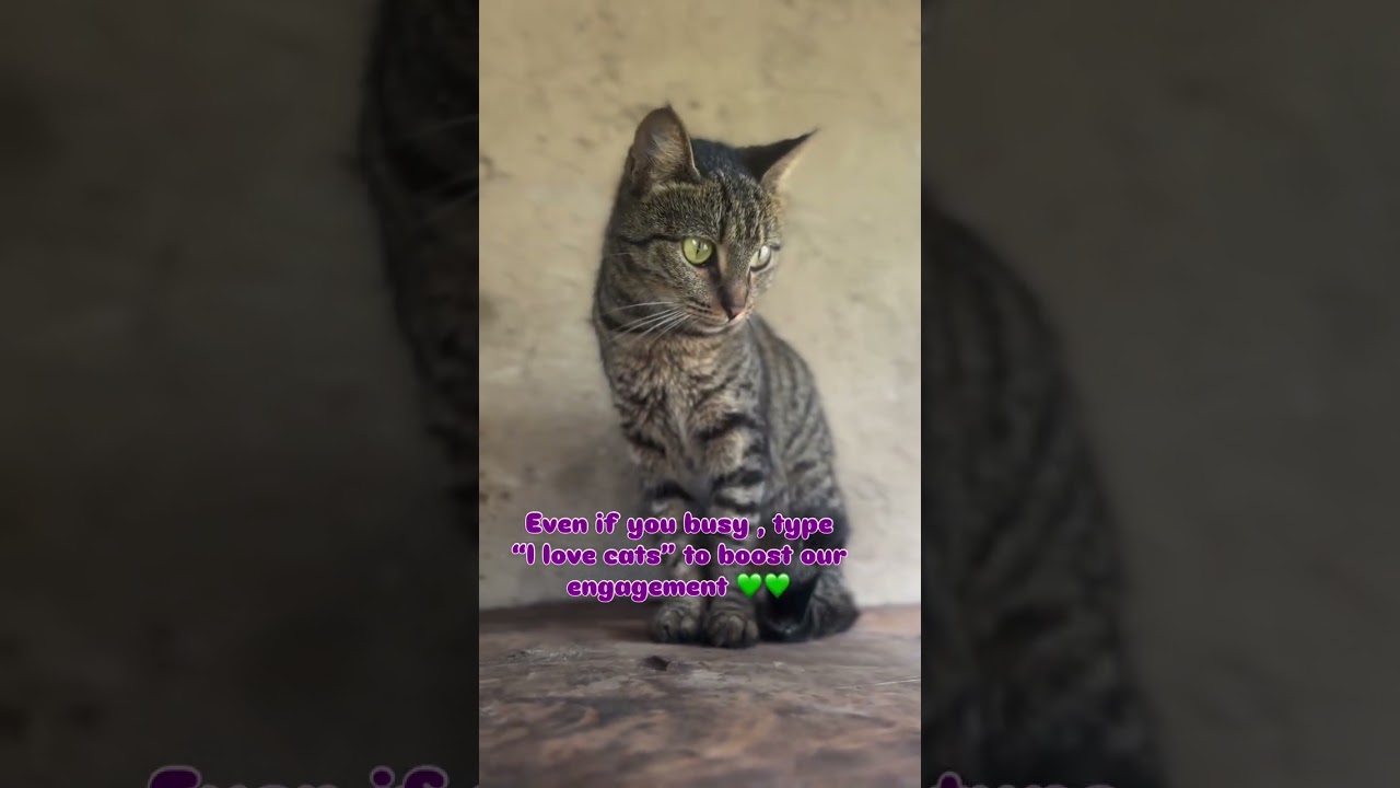 Please, you can even 25 or 210 can help us get through this difficult moment. No amount is too small