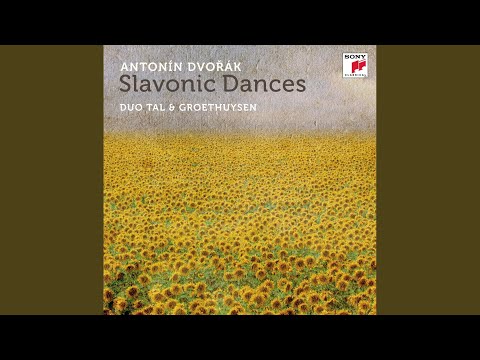 Slavonic Dances, Op. 46, Arr. for 2 Pianos: No. 6 in D Major: Allegretto scherzando