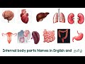Internal Body Parts Name S In English And Tamil