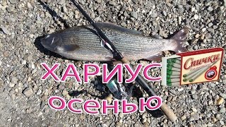 Ловля хариуса в приморском крае