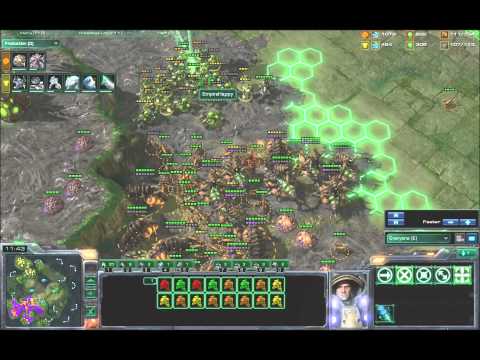 AcerBly(Z) Vs EmpireHappy(T) Game 3