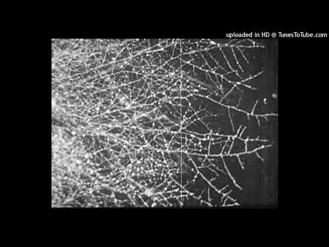 dark ambient x joeyy x bladee type beat - "grain" [Prod. methboiswag x silver x roxa x cast]