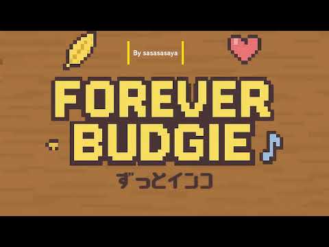 Forever Budgie ずっとインコ video thumbnail