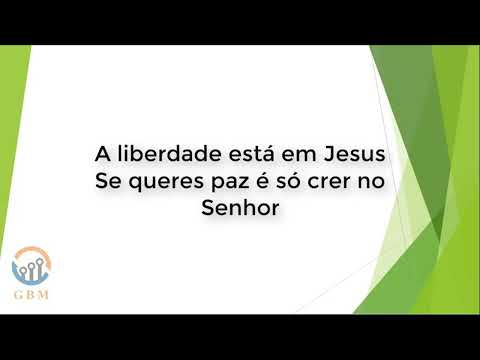 Geracao Florida Playback com  letra