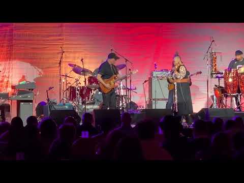 Special EFX All Stars performs a Karen Briggs original composition titled, "Scheherazade's Groove."