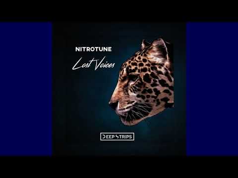 Nitrotune - Lost Voices (Original Mix)