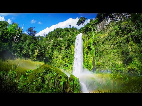 Sleep Better with Soothing Waterfall Sound | White Noise for Sleeping or Studying | 10 Hours