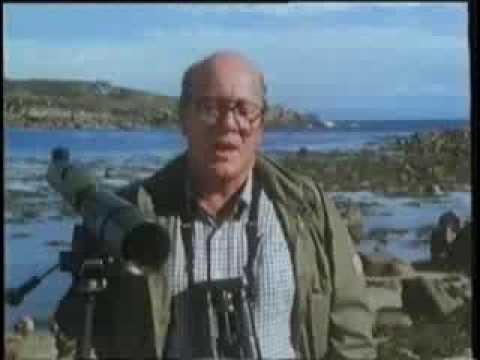 Tony Soper Go Birding