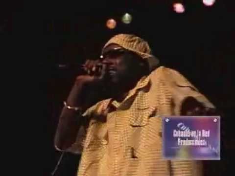 Mola Quien Tiró La Tiza