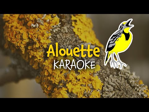 download lagu mp3 mp4 Download Alouette Mp3, download lagu Download Alouette Mp3 gratis, unduh video klip Download Alouette Mp3