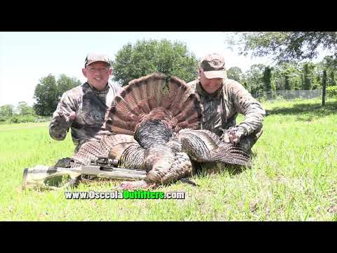 Hunting turkey and Hogs with HECS!- from the 2022 season