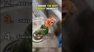 Miniature vidéo