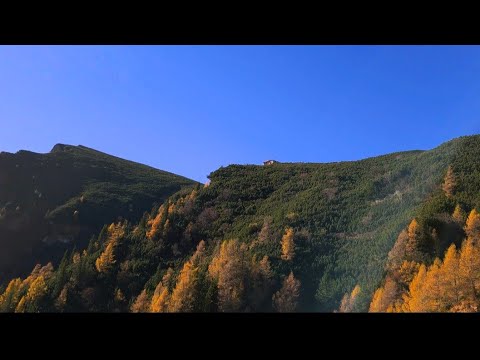 JEPII MARI * BUȘTENI 950 m - Valea Seaca Dintre Clăi - Canton SCHIEL/JEPI - cab. PIATRA ARSA 1954 m
