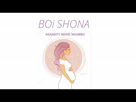 BOi SHONA—Ndinhumbu__Holly Ten style
