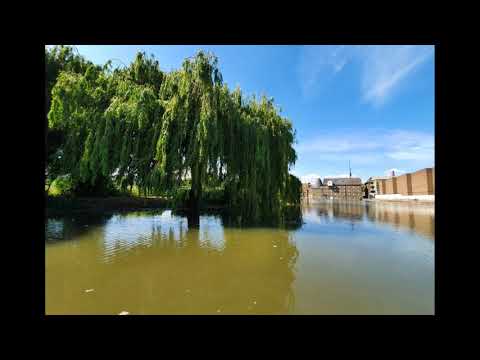 High tide on the river Lea