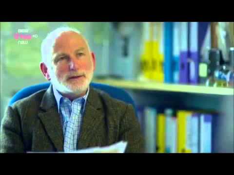 The Glasgow Girls [How Would I Feel]