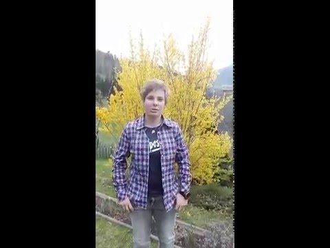 Grüße von Nicole Schmidhofer - 5 Jahre Daniel Düsenflitz