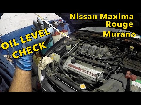 How to check engine oil on Nissan Maxima Murano  or Rogue V6 engines