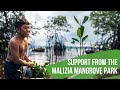 Support From The Malizia Mangrove Park