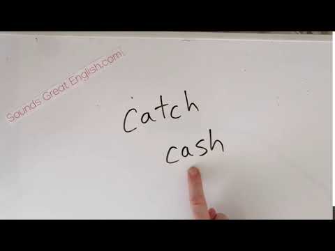 Catch Cash