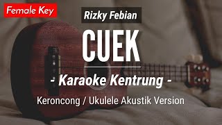 Download Lagu Gratis