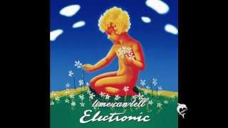 ELECTRONIC - time can tell