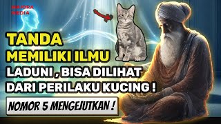 Download lagu MENGEJUTKAN❗ 5 Perilaku Kucing Yang Menandakan Anda Pemilik Ilmu Laduni Sakti! mp3 Download lagu MENGEJUTKAN❗ 5 Perilaku Kucing Yang Menandakan Anda Pemilik Ilmu Laduni Sakti! mp3