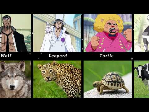 One Piece All Zoan Type Devil Fruits (Include Ancient & Mythical) Users in Real World Form