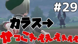【ポケモンソードシールド #29】ナックルシティの周辺がめちゃめちゃ強い【ゲーム実況】