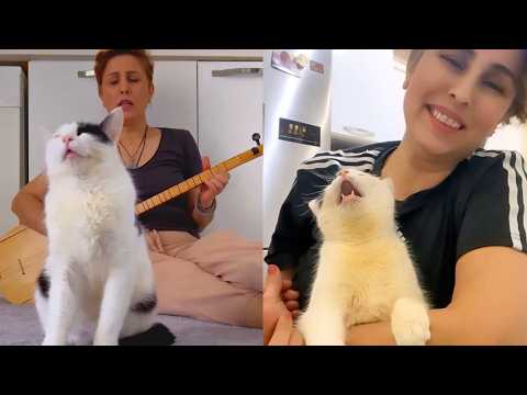 Cat HATES It When Mom Sings The Wrong Song 🤣