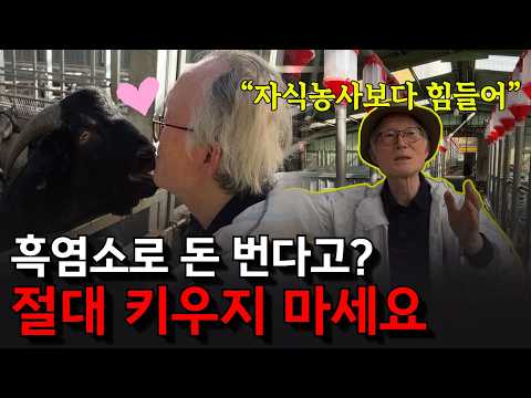 국내 흑염소 시장의 실체, 15년 경력 명인이 100% 공개합니다 (선도농가를 만나다)