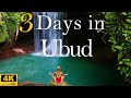 How To Spend 3 Days In UBUD Bali Indonesia Travel Itinerary